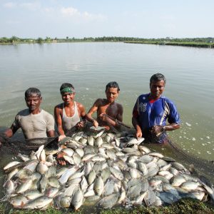 Aqua Doctor Solution